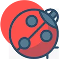 Bug
