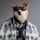 赵东东咚咚咚
