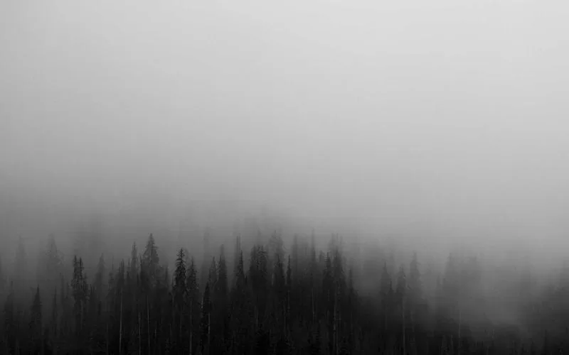 4. AI编写的SKILL，坑