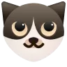 点点